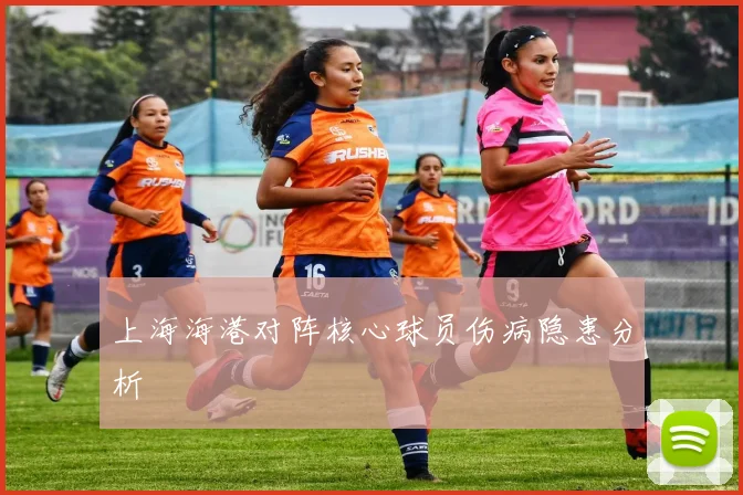 上海海港对阵核心球员伤病隐患分析