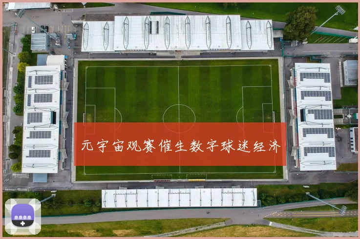 元宇宙观赛催生数字球迷经济