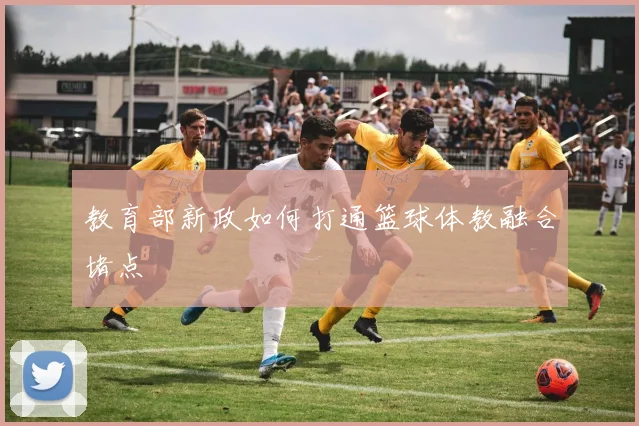 教育部新政如何打通篮球体教融合堵点